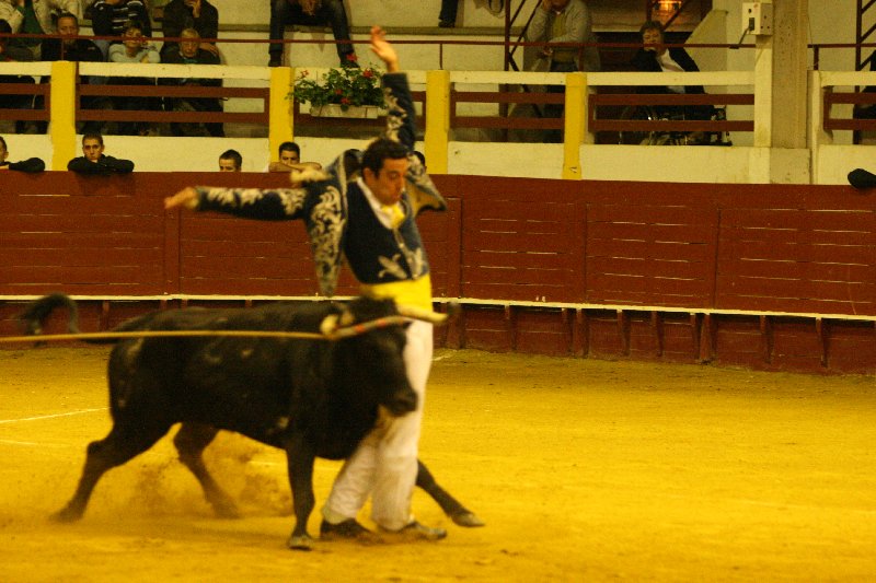 IMG_0031.JPG