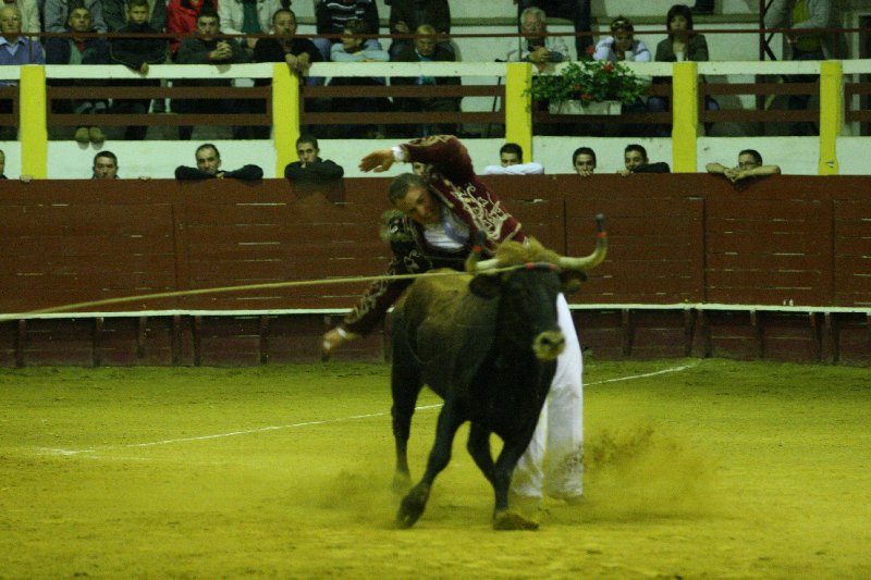 IMG_0061.JPG