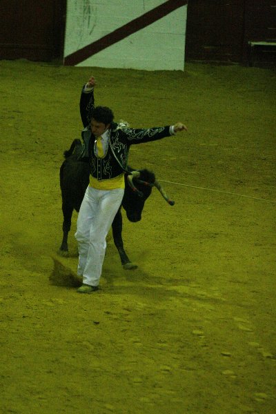 IMG_0124.JPG
