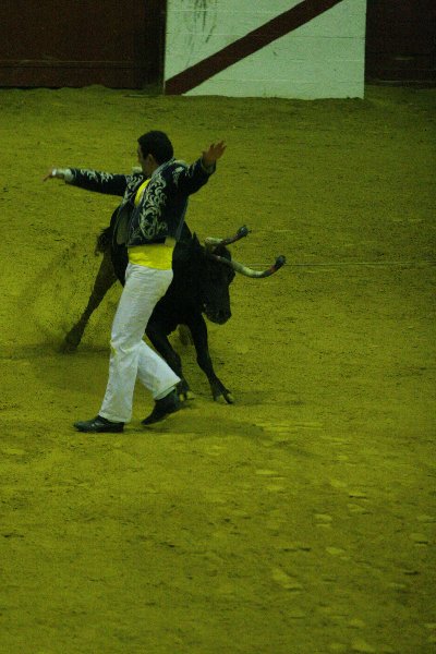 IMG_0130.JPG