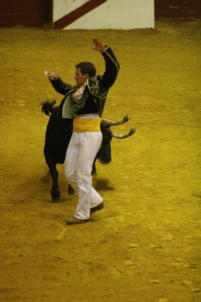 IMG_0140.JPG