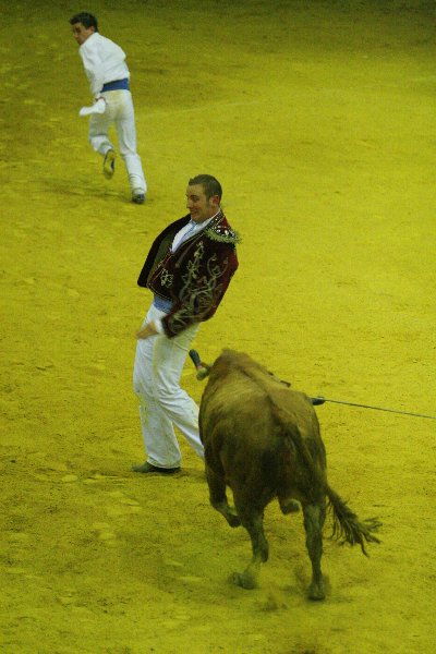 IMG_0187.JPG