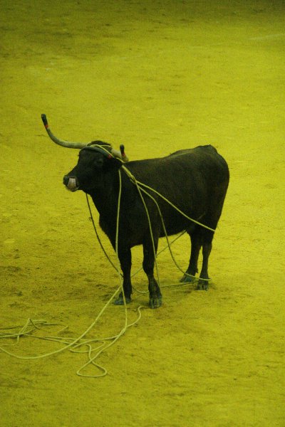 IMG_0196.JPG