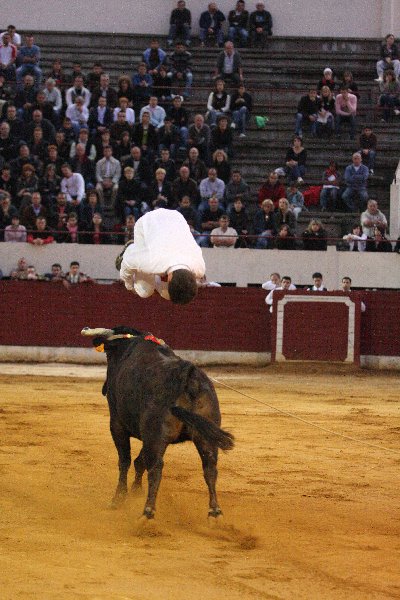 IMG_3225.JPG