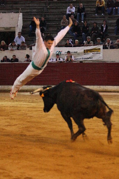 IMG_3230.JPG