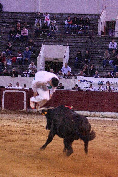 IMG_3232.JPG