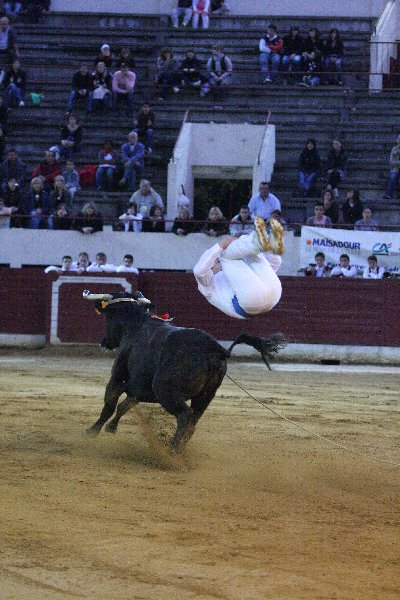 IMG_3238.JPG