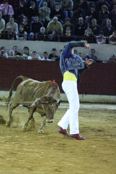 IMG_3269.JPG
