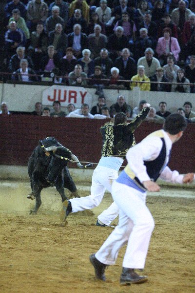 IMG_3279.JPG