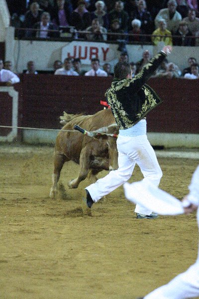 IMG_3323.JPG