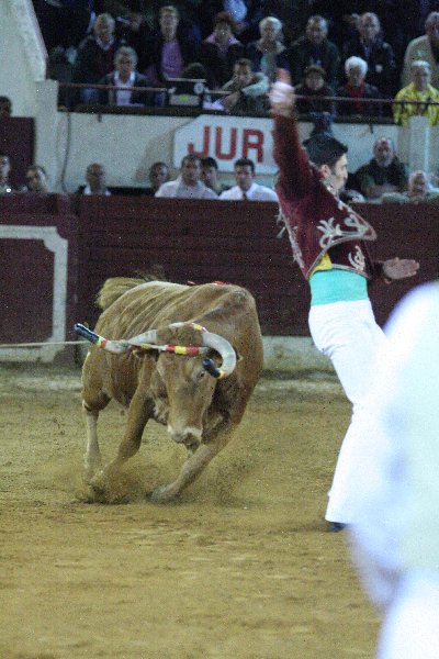 IMG_3329.JPG