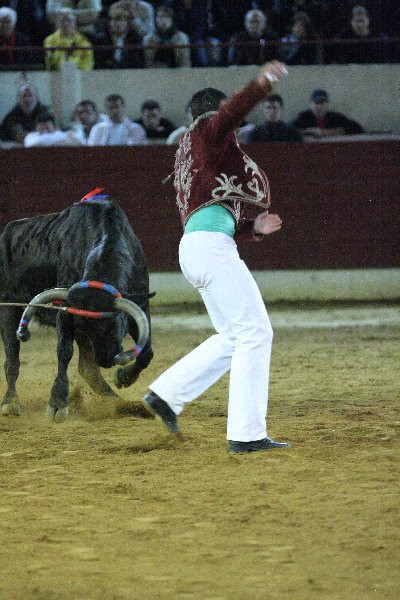 IMG_3380.JPG