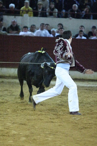 IMG_3390.JPG