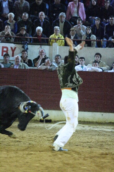 IMG_3455.JPG
