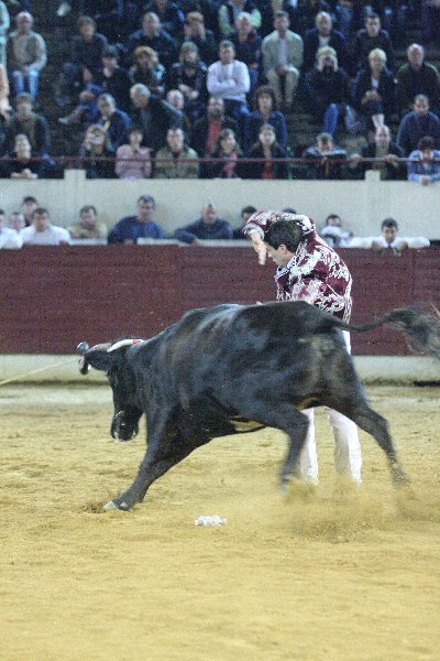 IMG_3464.JPG