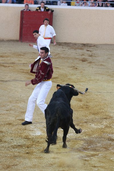 IMG_4161.JPG