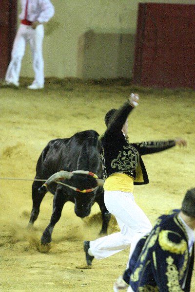 IMG_4252.JPG