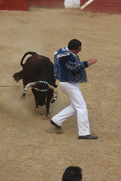 IMG_4520.JPG