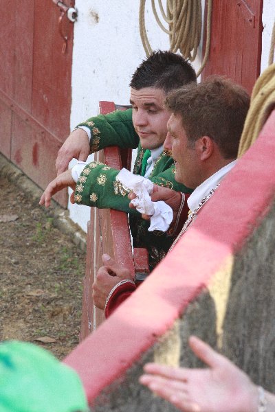 IMG_4598.JPG