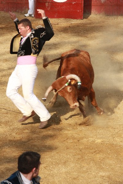 IMG_4666.JPG