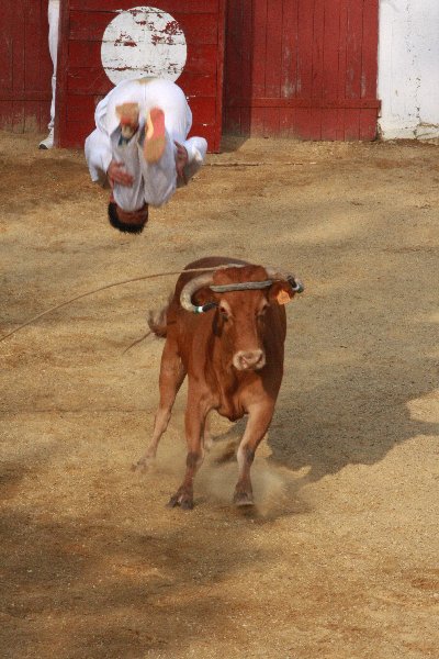 IMG_4676.JPG