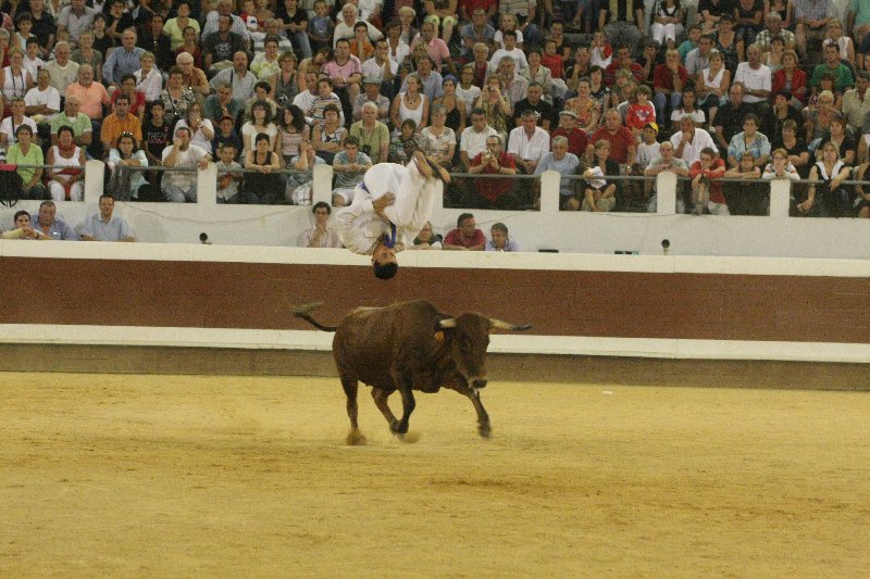 IMG_9511.JPG