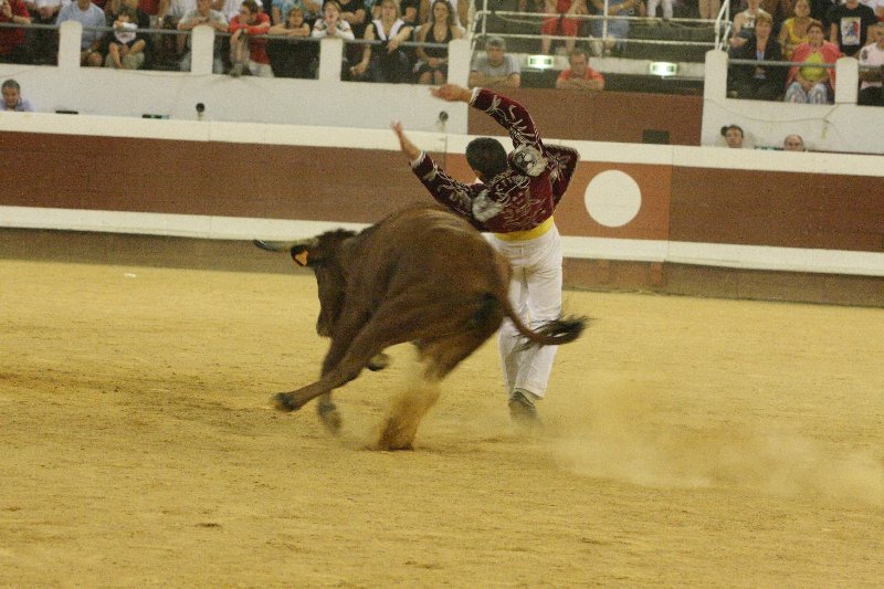 IMG_9513.JPG