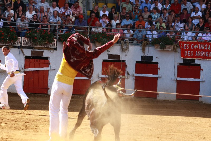 IMG_7742.JPG