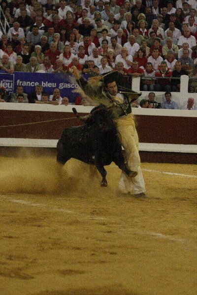 IMG_0976.JPG