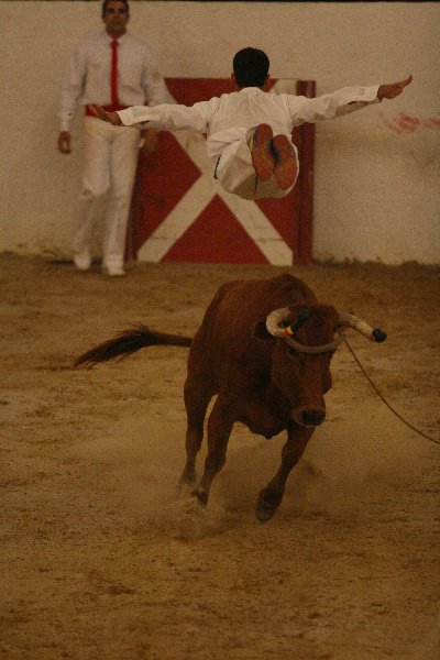 IMG_2000.JPG