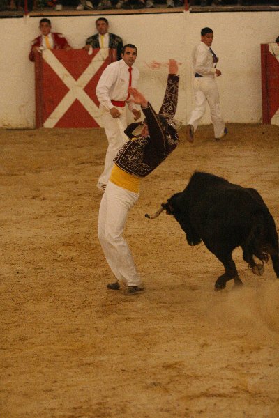 IMG_2010.JPG