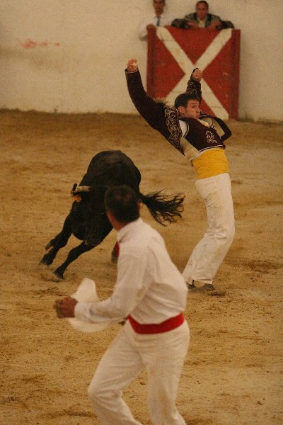 IMG_2012.JPG