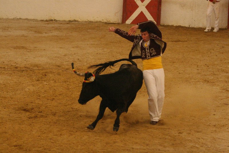 IMG_2130.JPG