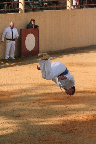 IMG_3861.JPG