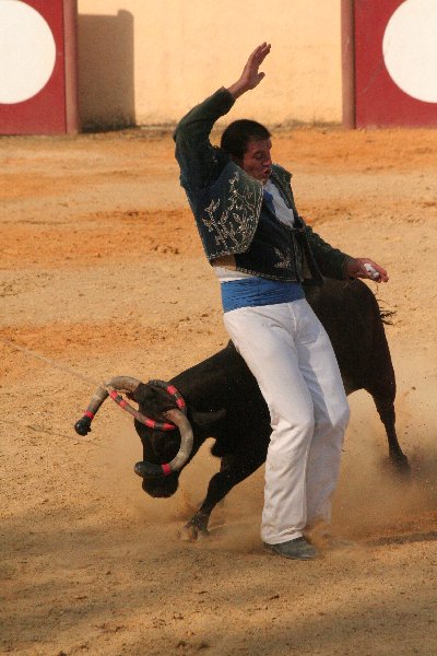 IMG_3869.JPG