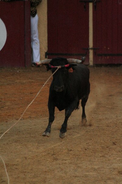 IMG_3985.JPG