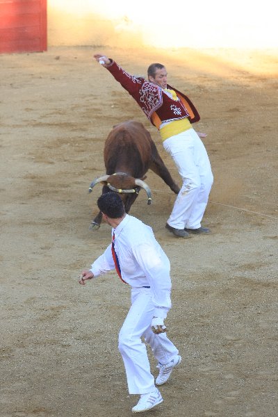 IMG_4912.JPG