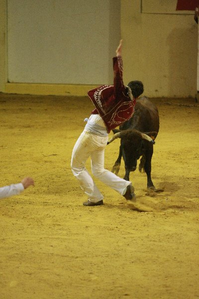 IMG_3985.JPG