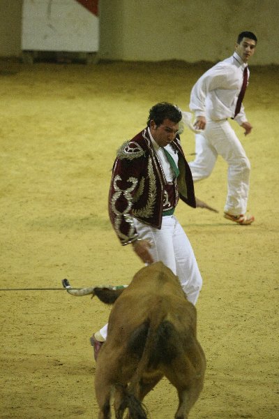 IMG_4122.JPG