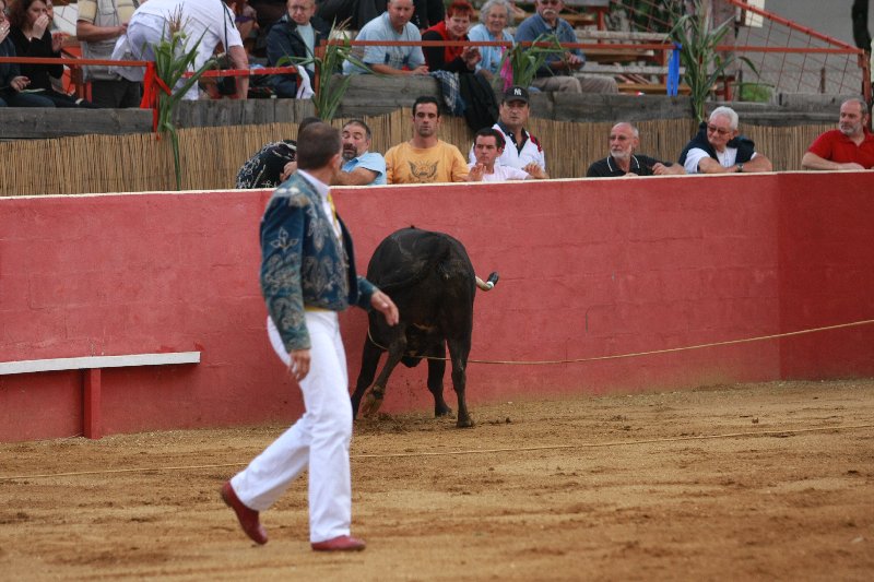 IMG_2877.JPG