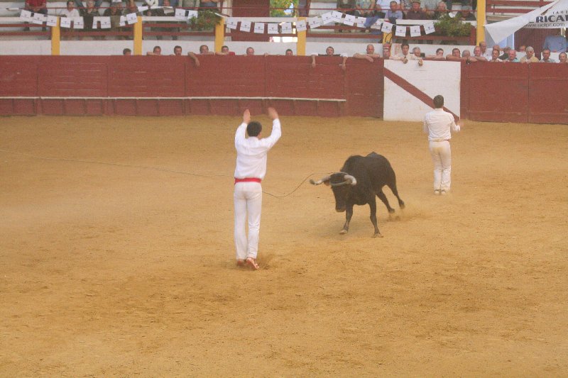 IMG_5560.JPG