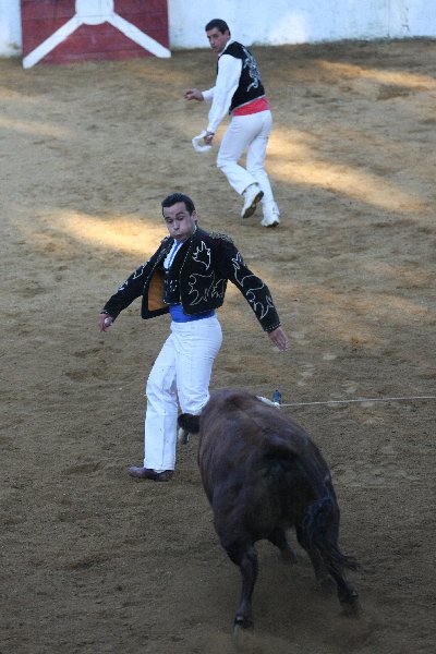 IMG_4563.JPG