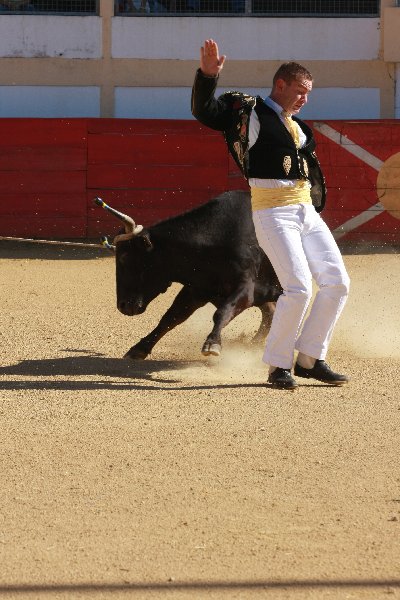 IMG_3250.JPG