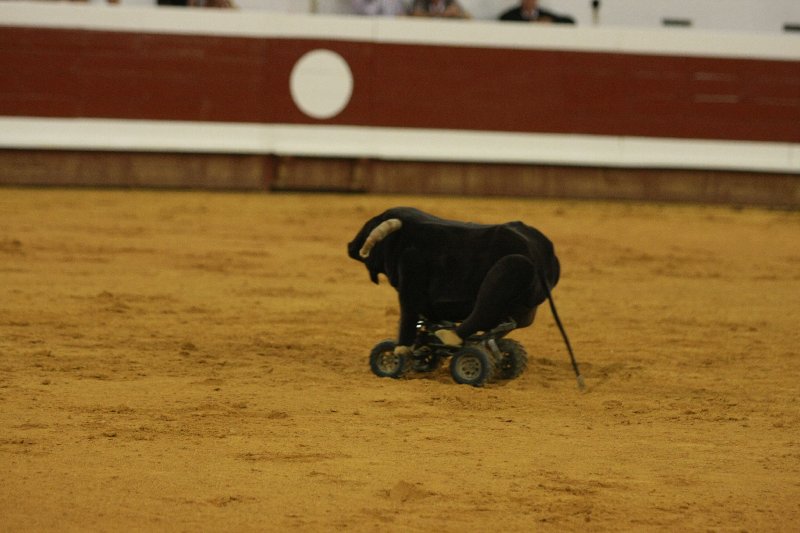 IMG_1478.JPG
