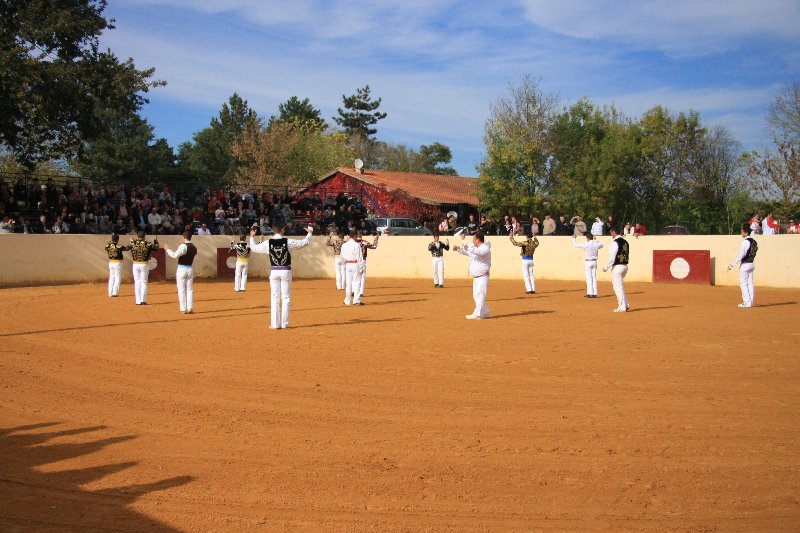 IMG_7366.JPG