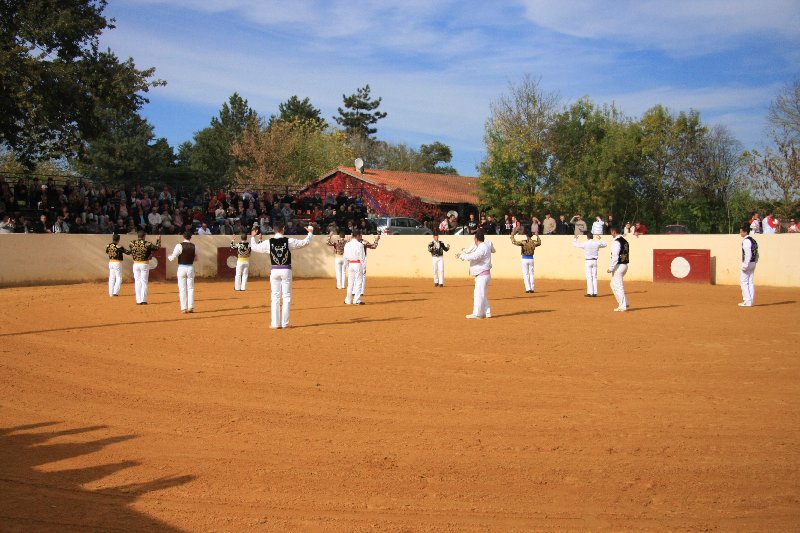IMG_7367.JPG