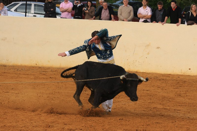 IMG_7539.JPG