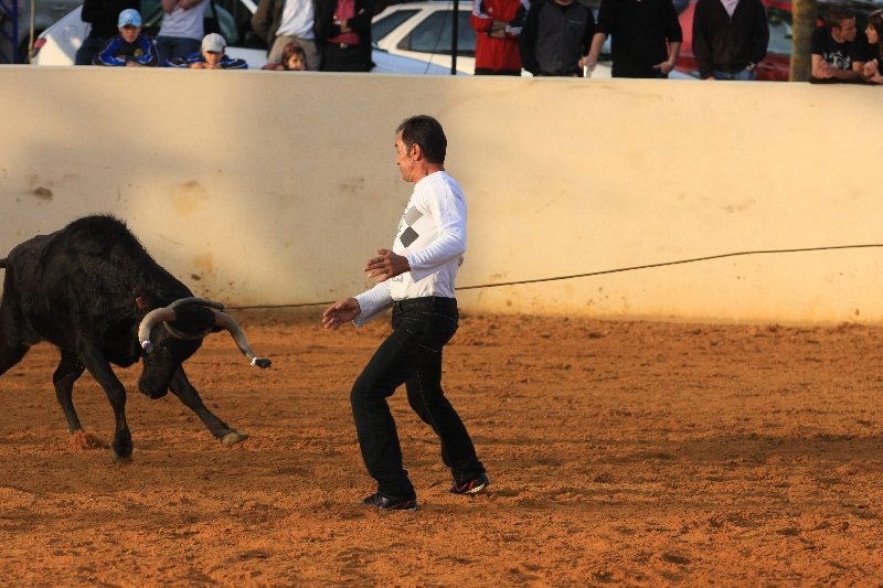 IMG_7852.JPG